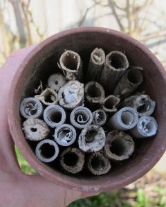 A mix of ready made tubes and dry plant stalks
